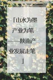 山水为墨 产业为笔——陕南产业发展走笔