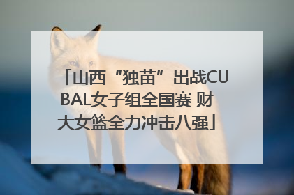 山西“独苗”出战CUBAL女子组全国赛 财大女篮全力冲击八强