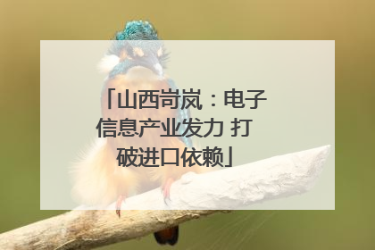山西岢岚：电子信息产业发力 打破进口依赖