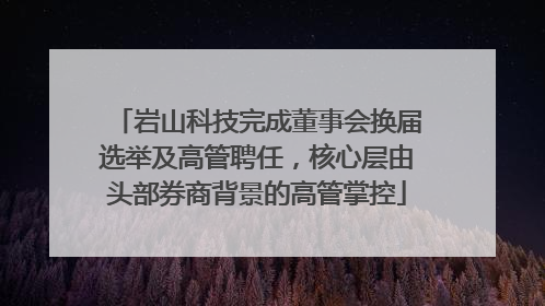 岩山科技完成董事会换届选举及高管聘任，核心层由头部券商背景的高管掌控