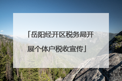 岳阳经开区税务局开展个体户税收宣传
