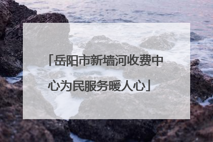 岳阳市新墙河收费中心为民服务暖人心