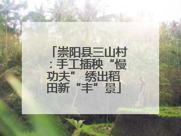崇阳县三山村：手工插秧“慢功夫” 绣出稻田新“丰”景