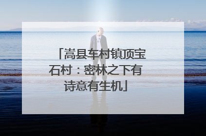 嵩县车村镇顶宝石村：密林之下有诗意有生机
