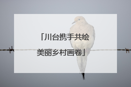 川台携手共绘美丽乡村画卷