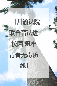 川渝法院联合普法进校园 筑牢青春无毒防线