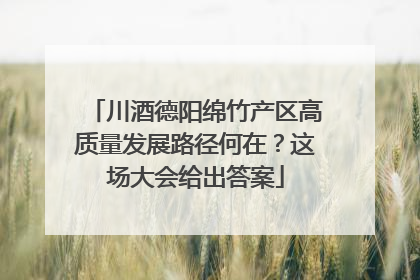 川酒德阳绵竹产区高质量发展路径何在？这场大会给出答案