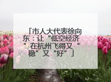 市人大代表徐向东：让“低空经济”在杭州飞得又“稳”又“好”