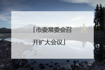 市委常委会召开扩大会议