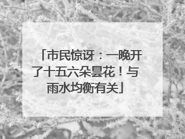 市民惊讶：一晚开了十五六朵昙花！与雨水均衡有关