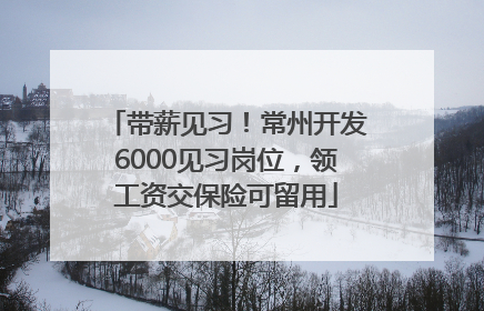 带薪见习！常州开发6000见习岗位，领工资交保险可留用
