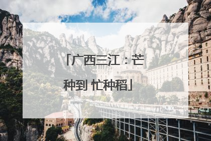 广西三江：芒种到 忙种稻