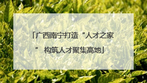广西南宁打造“人才之家” 构筑人才聚集高地