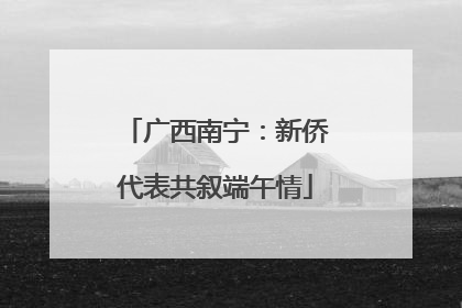 广西南宁：新侨代表共叙端午情