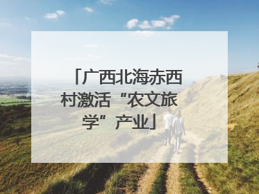 广西北海赤西村激活“农文旅学”产业