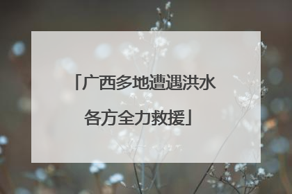 广西多地遭遇洪水 各方全力救援