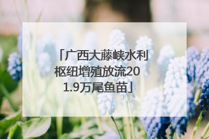 广西大藤峡水利枢纽增殖放流201.9万尾鱼苗