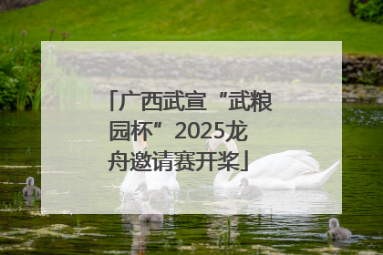 广西武宣“武粮园杯”2025龙舟邀请赛开桨