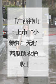广西钟山：上市“小糖丸”无籽西瓜助农增收