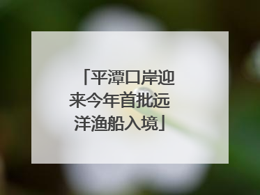 平潭口岸迎来今年首批远洋渔船入境