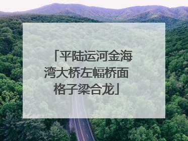 平陆运河金海湾大桥左幅桥面格子梁合龙