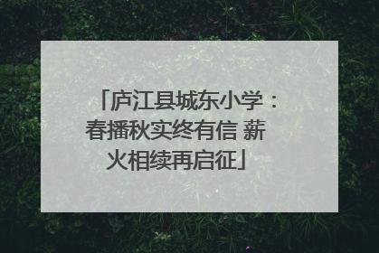 庐江县城东小学：春播秋实终有信 薪火相续再启征