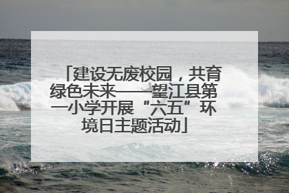 建设无废校园，共育绿色未来——望江县第一小学开展“六五”环境日主题活动