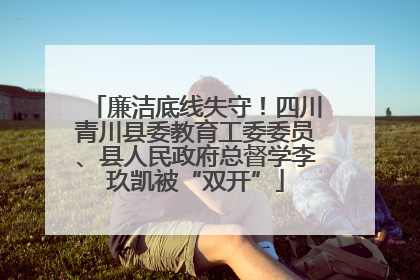 廉洁底线失守！四川青川县委教育工委委员、县人民政府总督学李玖凯被“双开”