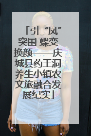 引“凤”突围 蝶变换颜——庆城县药王洞养生小镇农文旅融合发展纪实