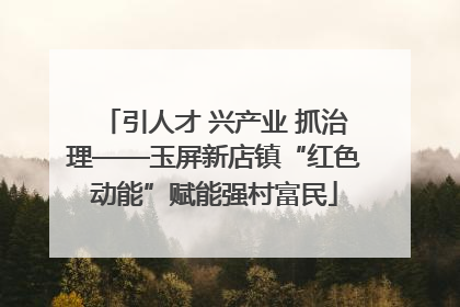 引人才 兴产业 抓治理——玉屏新店镇“红色动能”赋能强村富民