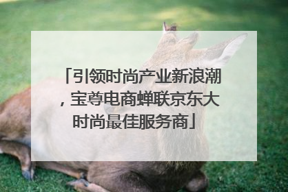 引领时尚产业新浪潮，宝尊电商蝉联京东大时尚最佳服务商