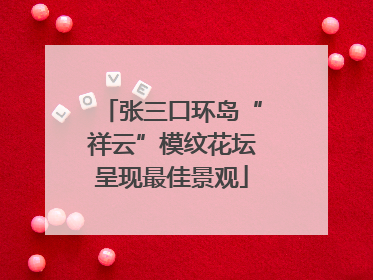 张三口环岛“祥云”模纹花坛呈现最佳景观