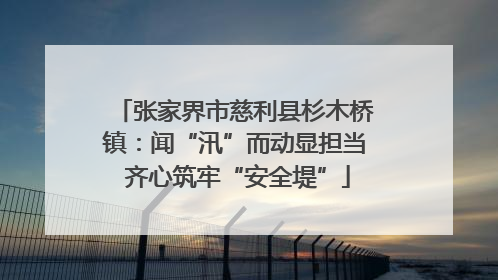 张家界市慈利县杉木桥镇：闻“汛”而动显担当 齐心筑牢“安全堤”