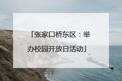 张家口桥东区：举办校园开放日活动