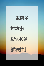 张掖乡村故事｜戈壁水乡插秧忙