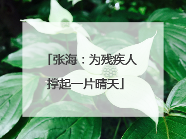 张海：为残疾人撑起一片晴天