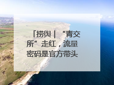 捞舆｜“青交所”走红，流量密码是官方带头“玩起来”