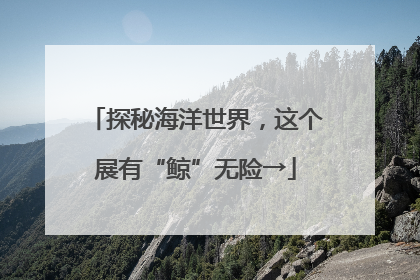 探秘海洋世界，这个展有“鲸”无险→