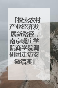 探索农村产业经济发展新路径，南京晓庄学院商学院调研团走访安徽绩溪