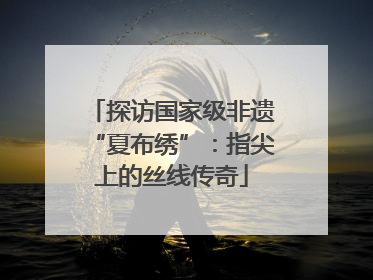 探访国家级非遗“夏布绣”：指尖上的丝线传奇