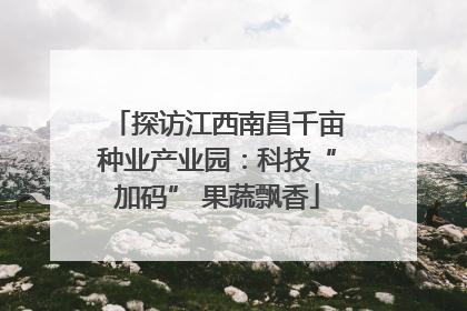 探访江西南昌千亩种业产业园：科技“加码” 果蔬飘香
