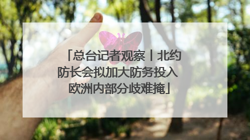 总台记者观察丨北约防长会拟加大防务投入 欧洲内部分歧难掩