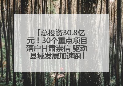 总投资30.8亿元！30个重点项目落户甘肃崇信 驱动县域发展加速跑