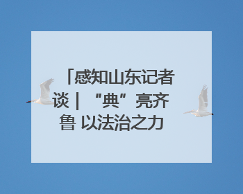感知山东记者谈｜“典”亮齐鲁 以法治之力护航民生与营商环境