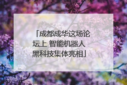 成都成华这场论坛上 智能机器人黑科技集体亮相