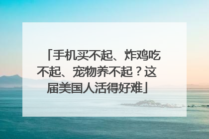 手机买不起、炸鸡吃不起、宠物养不起？这届美国人活得好难
