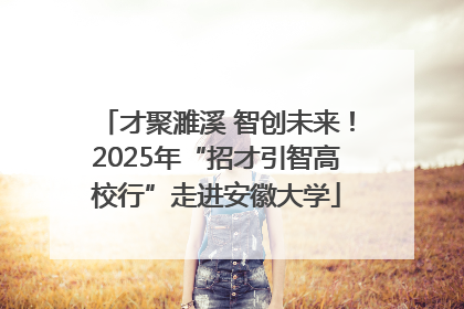 才聚濉溪 智创未来！2025年“招才引智高校行”走进安徽大学