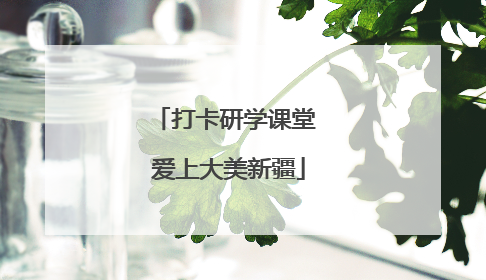 打卡研学课堂 爱上大美新疆