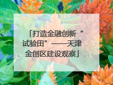 打造金融创新“试验田”——天津金创区建设观察