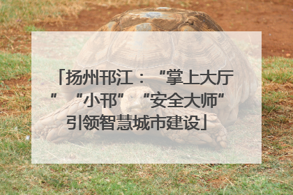 扬州邗江：“掌上大厅”“小邗”“安全大师”引领智慧城市建设